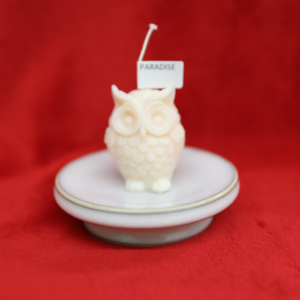 “Forest Guardian” Candles: Handcrafted Candles by Local Moose Jaw Artisan Collection