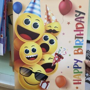 Premium Paper Gift Bags- Large $3